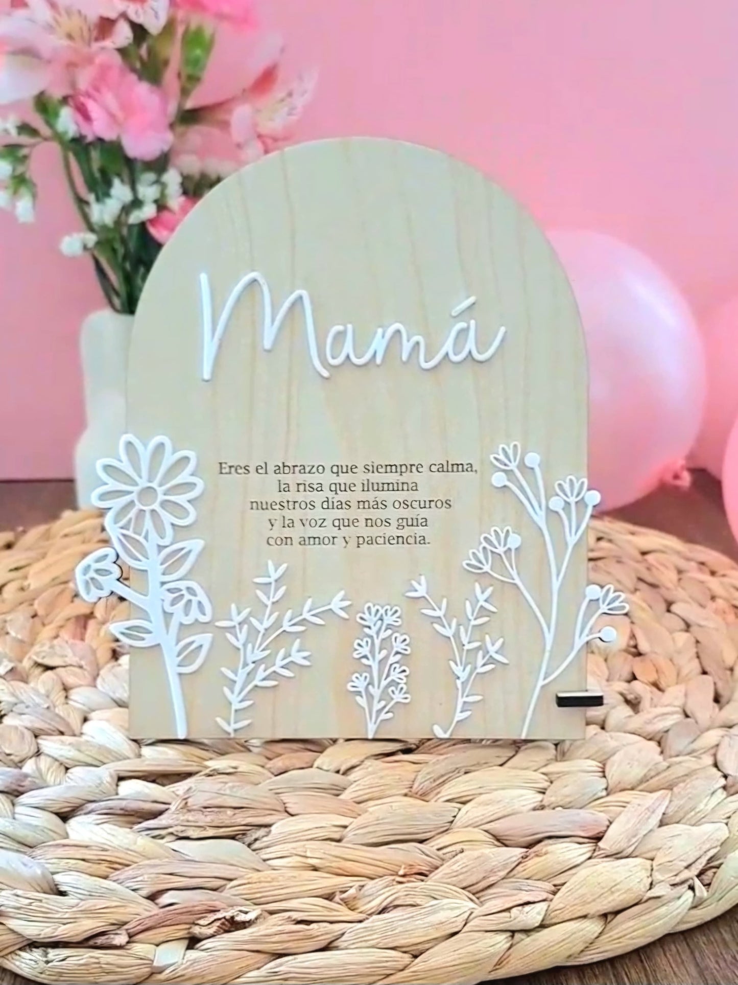 Placa Mamá